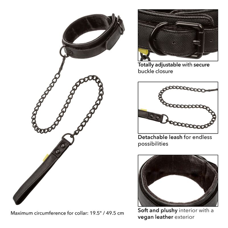 CALEXOTICS - COLLIER ET LAISSE Boundless