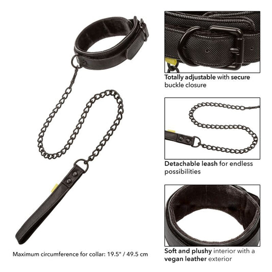 CALEXOTICS - COLLIER ET LAISSE Boundless