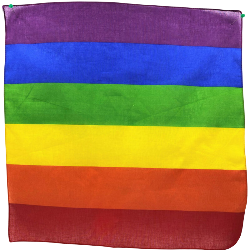 FIERTÉ - FOULARD LGBT 50 X 50