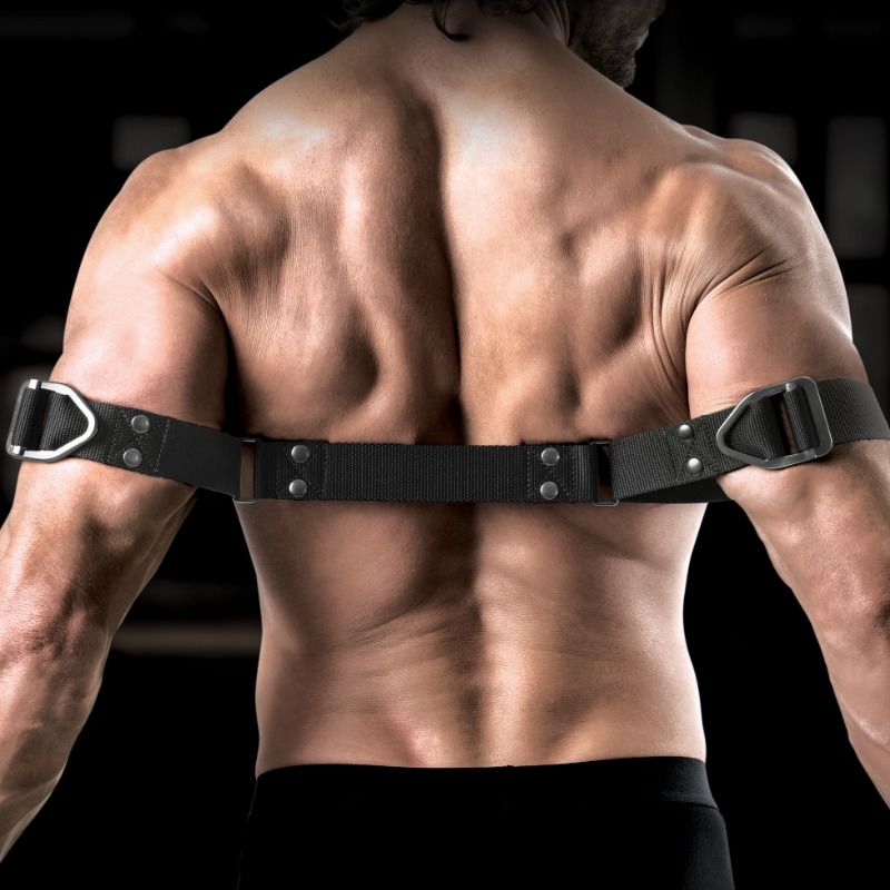 SIR RICHARDS - COMMANDE DE BICEPS BENDER