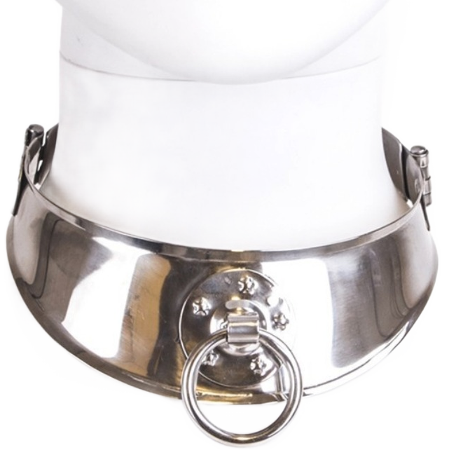 MÉTAL DUR - COLLIER DE RETENUE AVEC ANNEAU
