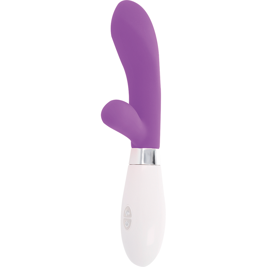 BRILLANT - LAPIN VIOLET JACKSON