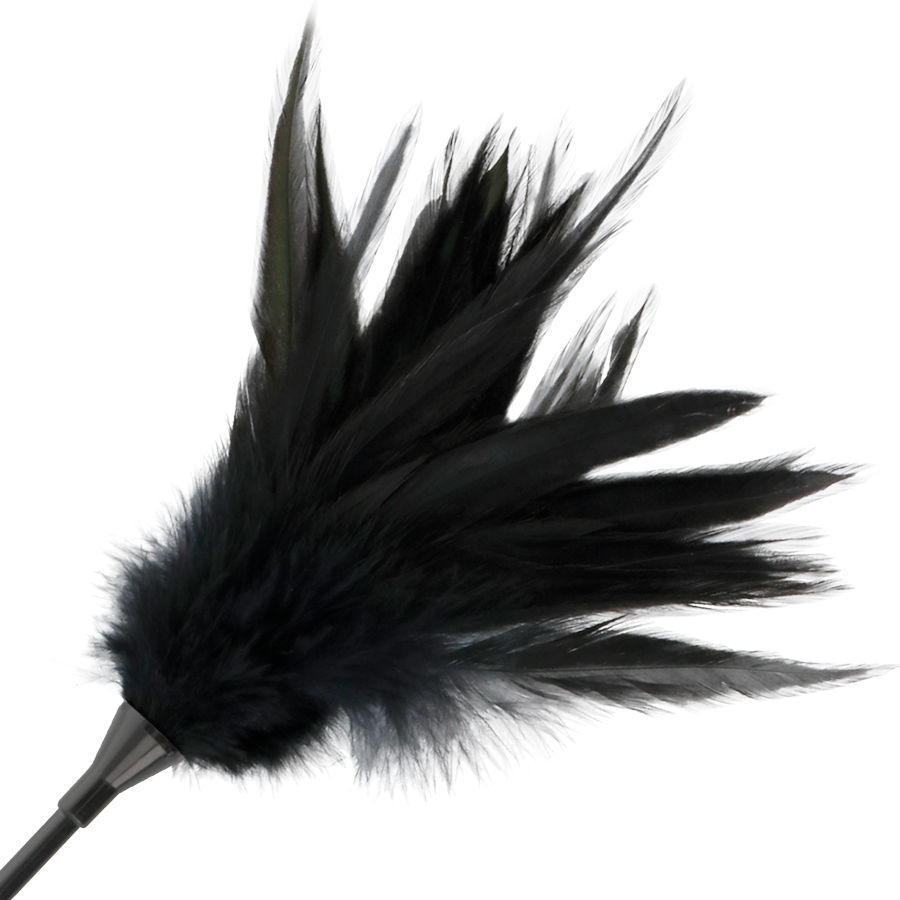 DARKNESS - Fouet de plumes noires
