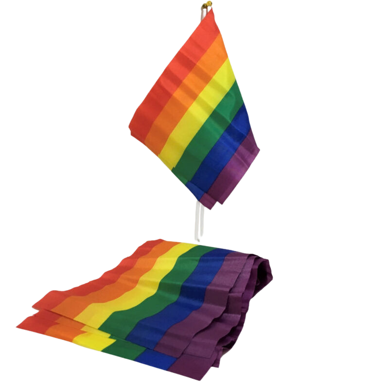 FIERTÉ - PETIT DRAPEAU LGBT