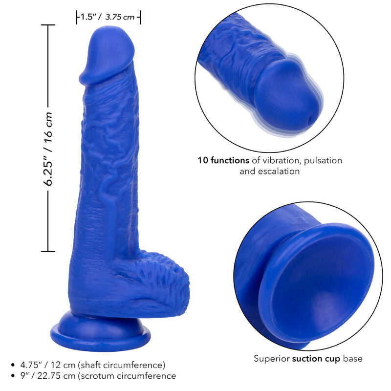 CALEXOTICS - VIBRATEUR ADMIRAL GODE RÉALISTE MARIN BLEU