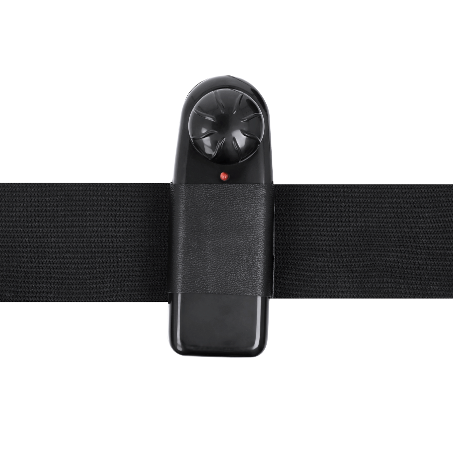 HARNAIS ATTRACTION - GREGORY HOLLOW RNES AVEC VIBRATEUR 16,5 CM -OU- 4,3 CM